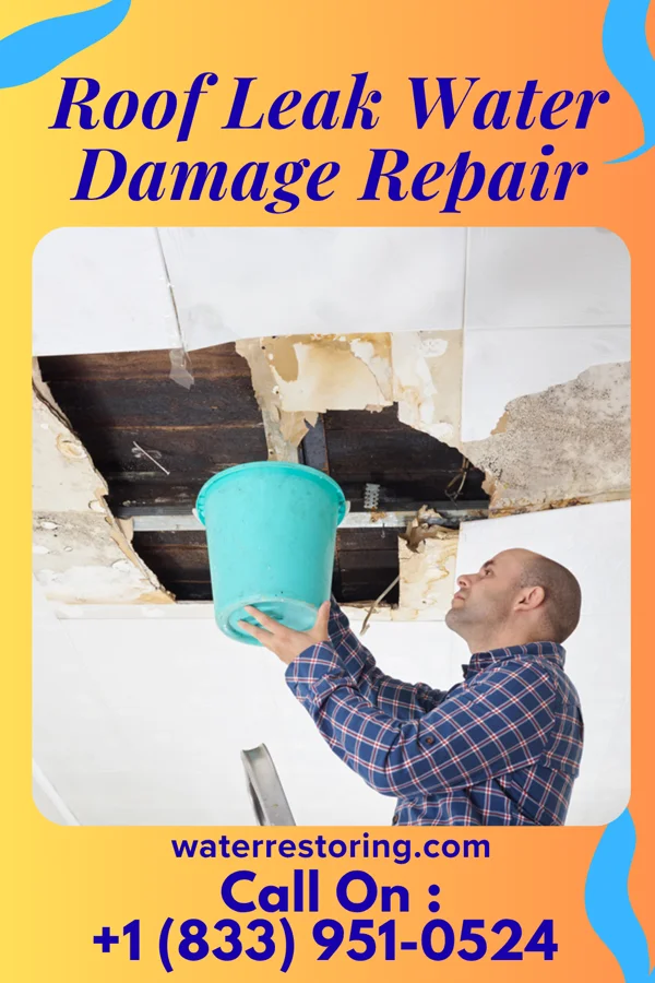 Roof Leak Water Damage Repair in La Grange, NC