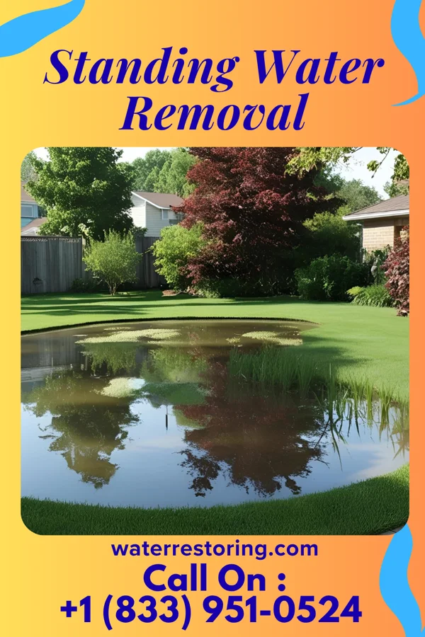 Standing Water Removal in La Grange, NC